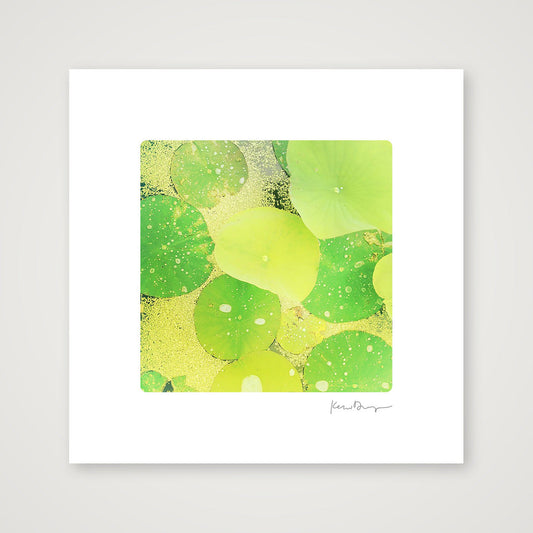 Everyday Joy #5- Lilypads (extra-small) — 20×20cm, 8×8" Print only