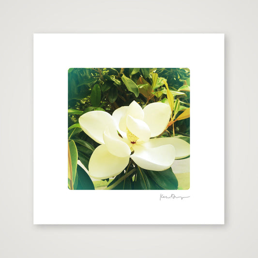 Everyday Joy #4- Memphis Magnolia (extra-small) — 20×20cm, 8×8" Print only